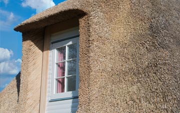 Sheen thatch roof disadvantages